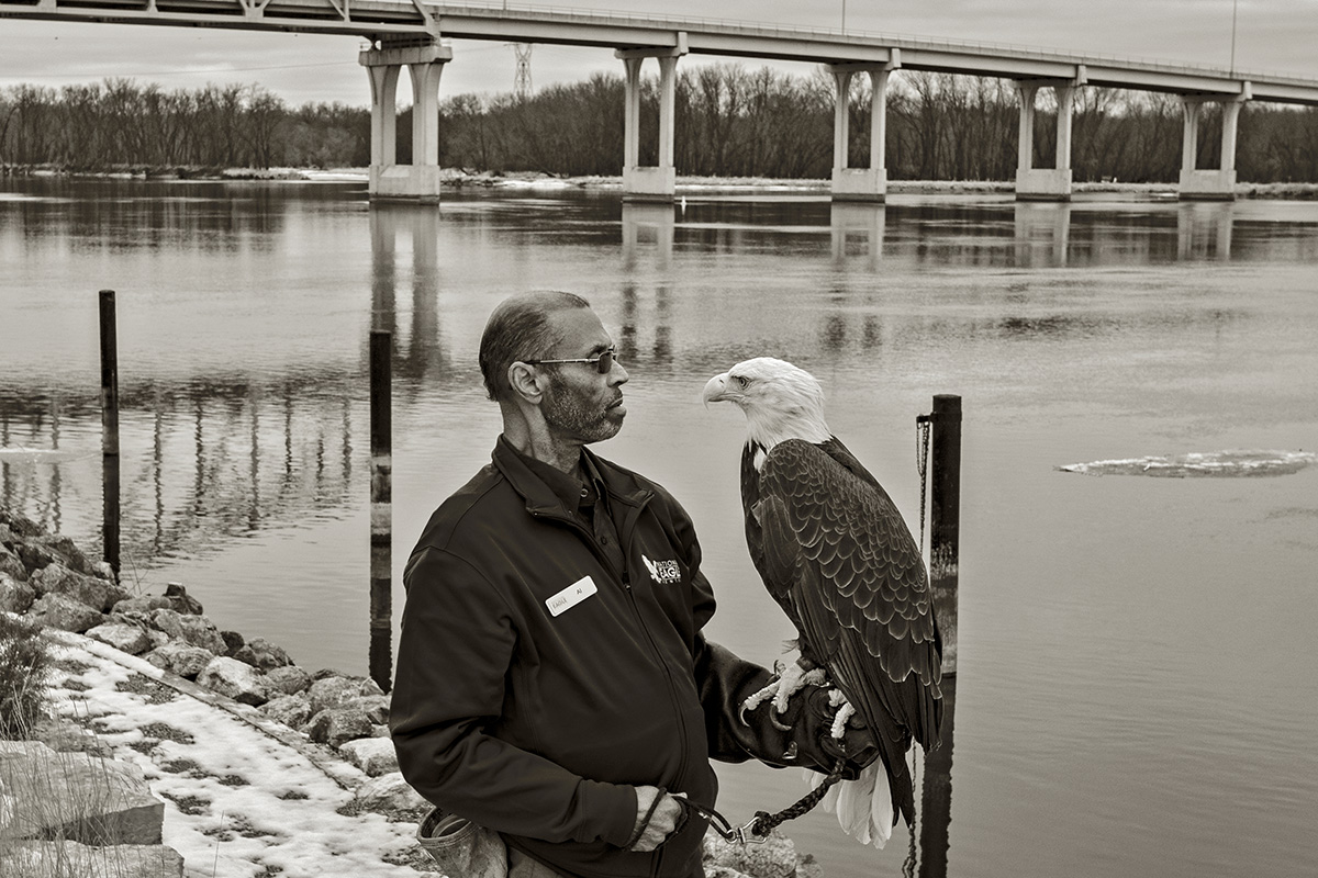 Al Cooper holds Angel at the National Eagle Center, Wabasha, MN. The Wabasha-Nelson Bridge (MN 60/ WI 25) leads to the Nelson-Trevino Bottoms State Natural Area in Nelson, WI.